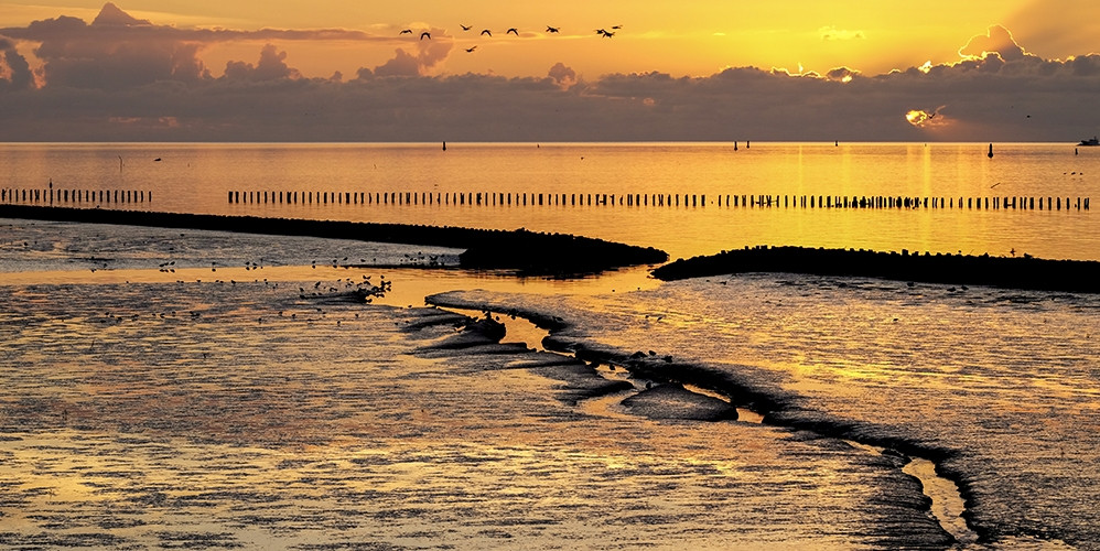 Waddenzee bij laagwater. Foto Henk Postma