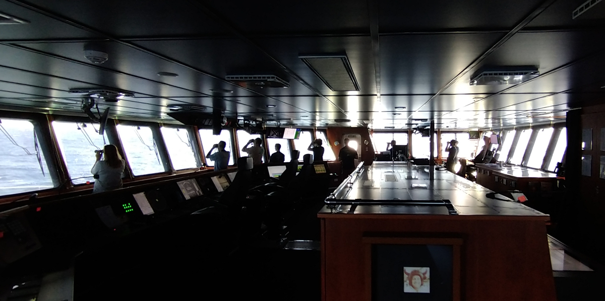 All hands on the bridge to look out for the first sign of an emerging mooring