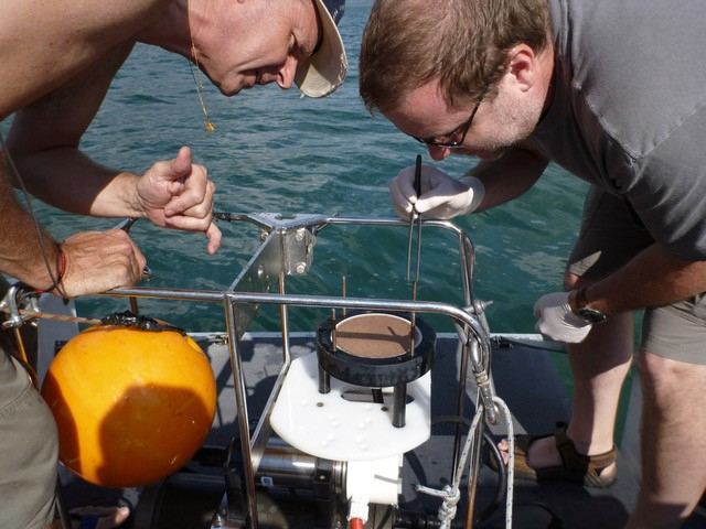 Bacteriën en andere deeltjes uit het water van het meer werden verzameld op een glasvezelfilter. Foto: Foto: Yuki Weber.