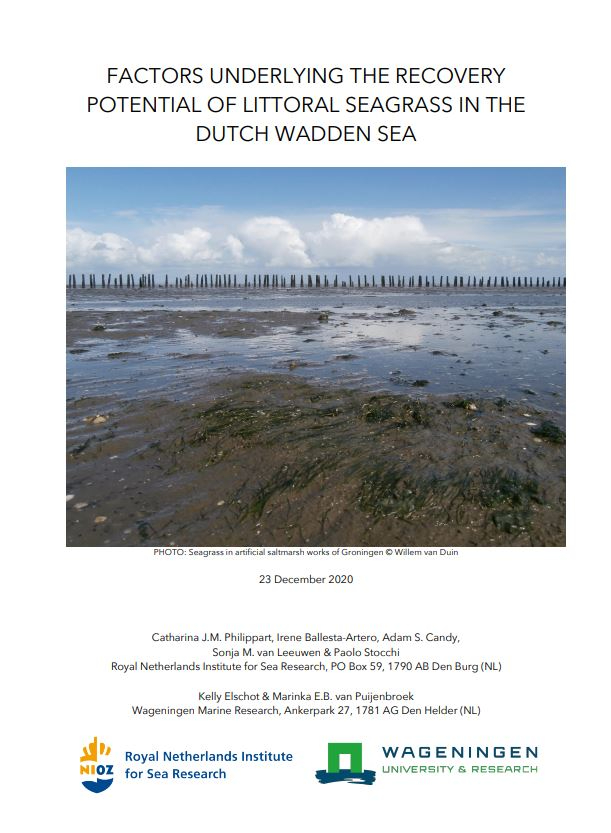 Read the full report 'Factors underlying the recovery potential of littoral seagrass in the Dutch Wadden Sea'