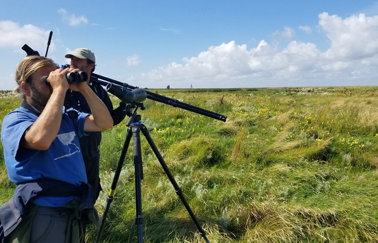 Job ten Horn en Allert Bijleveld tijdens de hoogwatervogeltellingen. Foto: Evy Gobbens