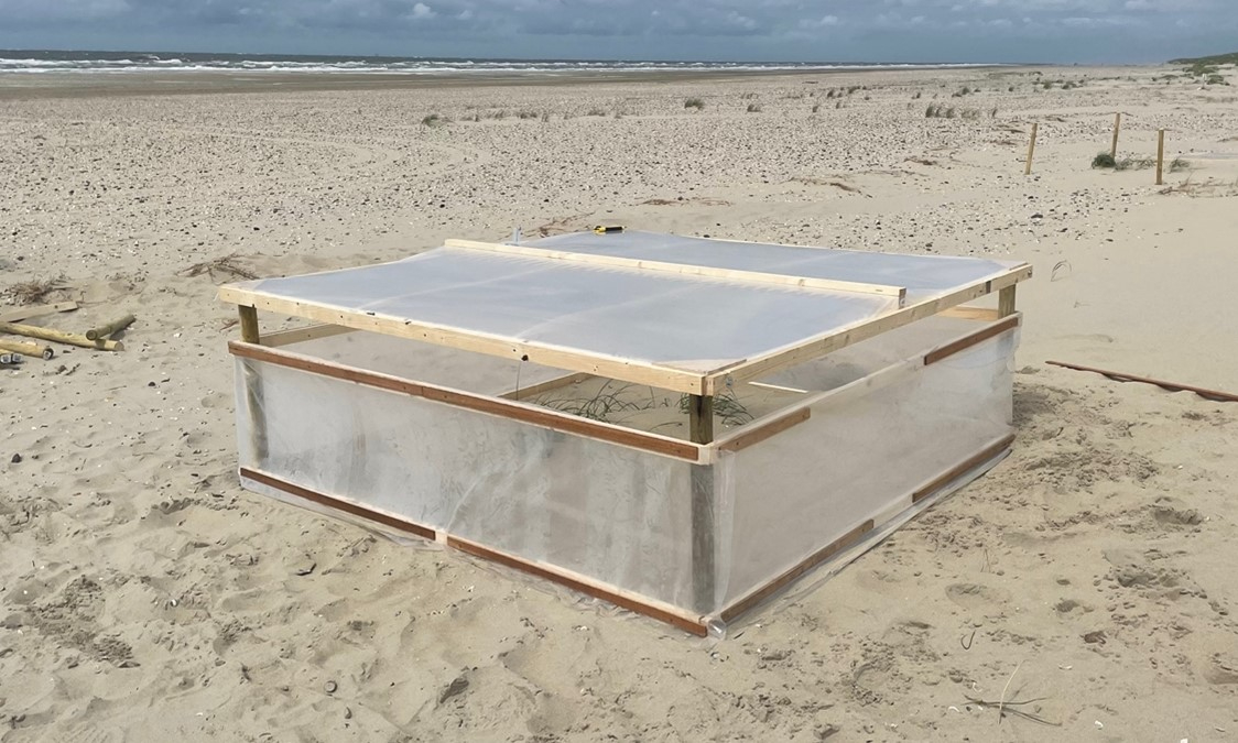 A greenhouse on the beach of Texel. On this site we compare the designs of different greenhouses. Photo: Carlijn Lammers A greenhouse on the beach of Texel. On this site we compare the designs of different greenhouses. Photo: Carlijn Lammers