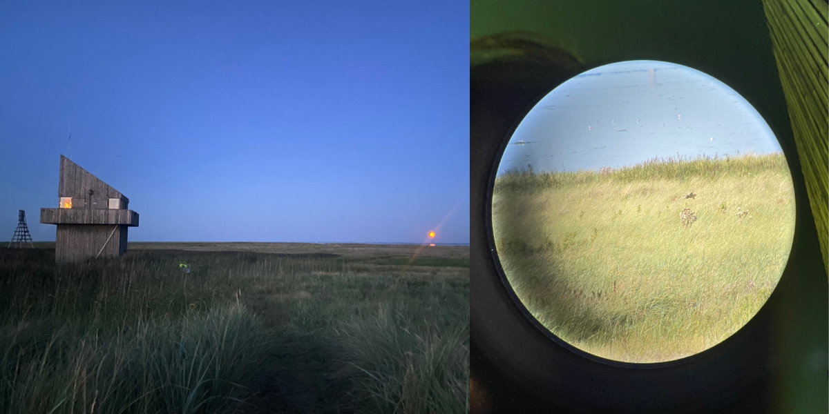 Left: The house and the beacon on Griend at dusk. Right: The short-eared owl on the hunt, photographed through the lense of the telescope. (Photo: Nienke Zwaferink) Left: The house and the beacon on Griend at dusk. Right: The short-eared owl on the hunt, photographed through the lense of the telescope. (Photo: Nienke Zwaferink)