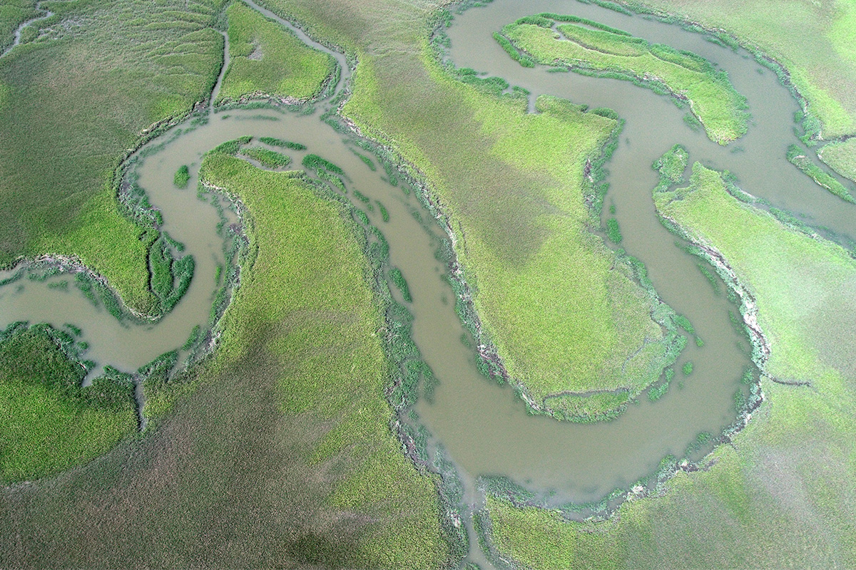 Salt marsh in the US. Credits: Collin Ortals