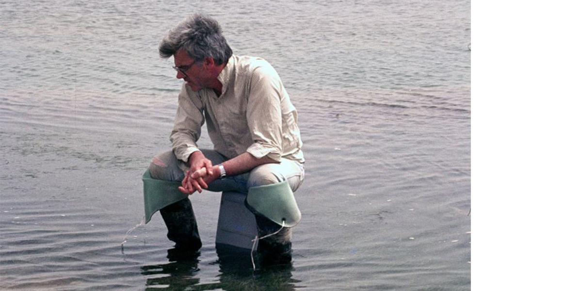 In the mud of Banq d'Arguin, Mauretania. 