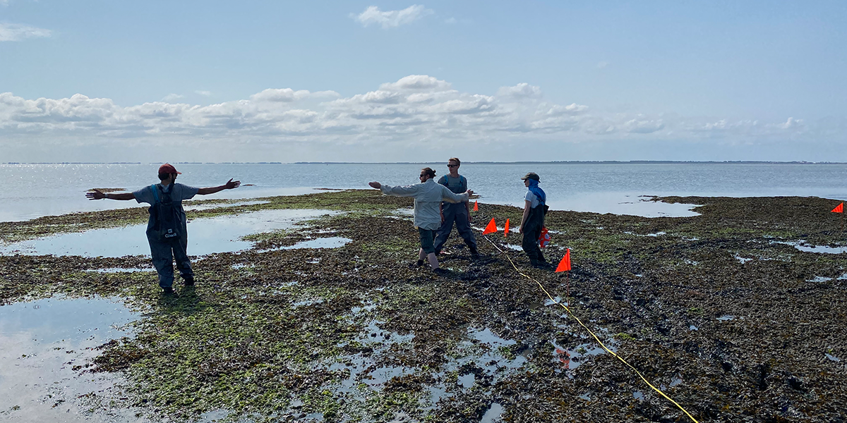 Coordinating actions on reef 580