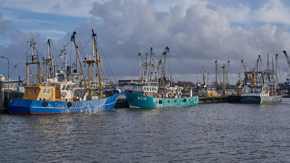 Garnalenkotters Lauwersoog. (c) Remco de Vries/Omrop Fryslân