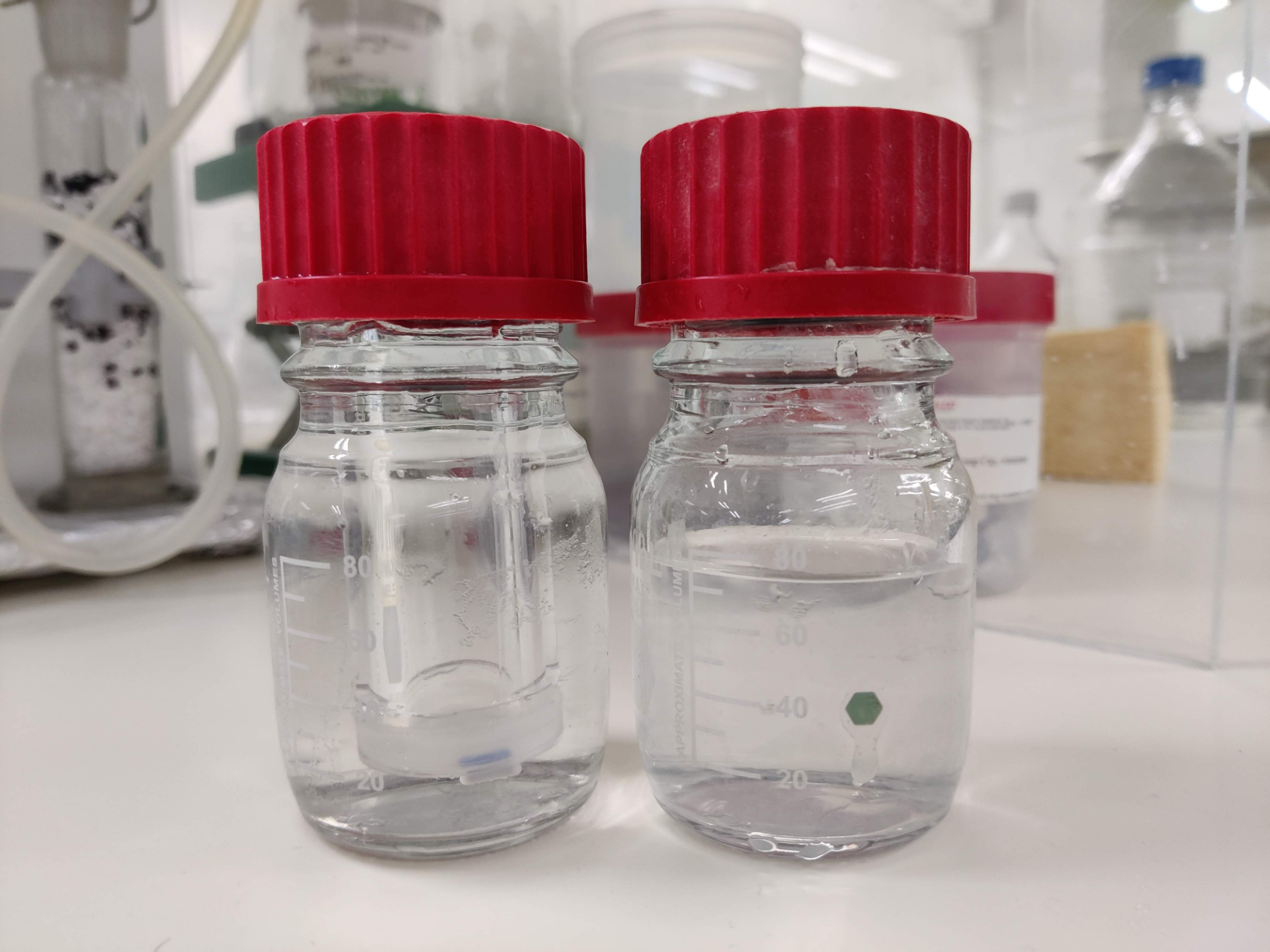 Studying plastic degradation rates with cultures in the lab
