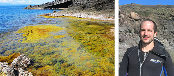 Lunca Rindi, Regime shifts and early warning indicators in benthic marine assemblages.