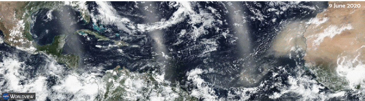 Daily dust images (from NASA's world view website) 9-23 June showing how the dust makes it across the Atlantic Ocean