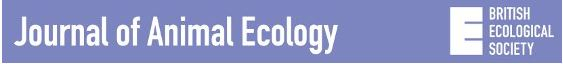 Read the article published in the Journal of Animal Ecology.