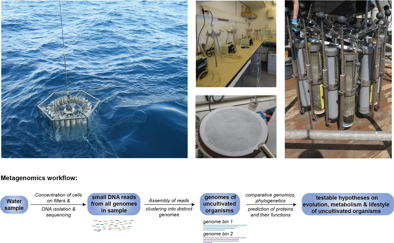 Figure 1. Pictures (by Nina Dombrowski) from sampling campaign on the Black Sea in summer 2018 and simplified depiction of a metagenomics workflow allowing to reconstruct genomes from uncultivated organisms in environmental samples. 