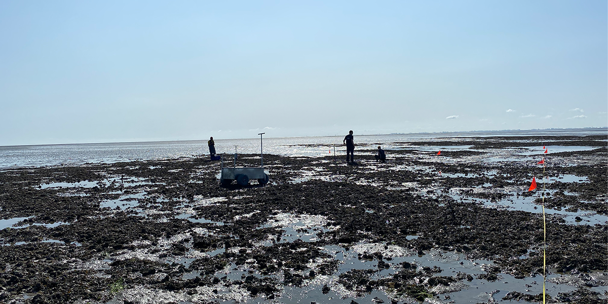 Working on reef 534: taking samples, running transect lines