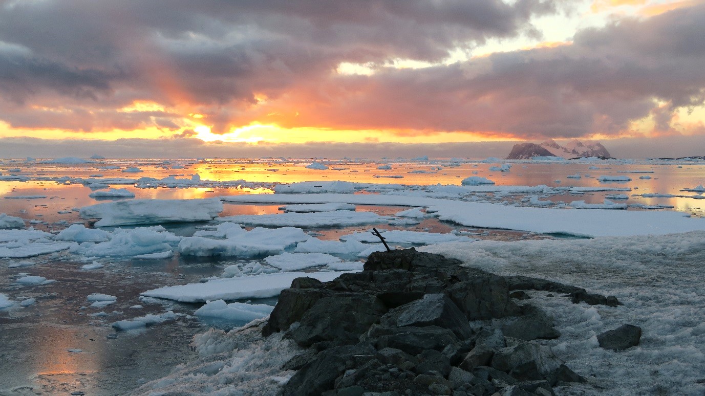 Een prachtige lage zon | ENG, A beautiful sunset. 