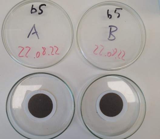 Suspended matter from the hydrothermal plume, collected on filters. This is the pure natural material that we will use for the experimental work (© NIOZ).