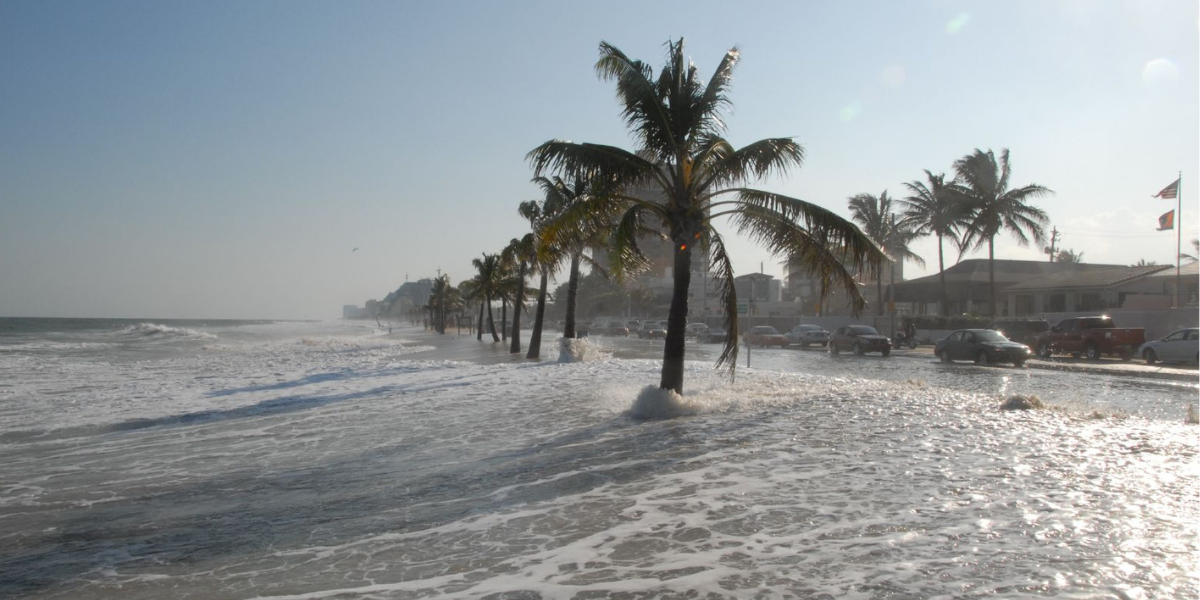 Fort Lauderdale. Credit: Dave/Flickr Creative Commons/CC BY 2.0