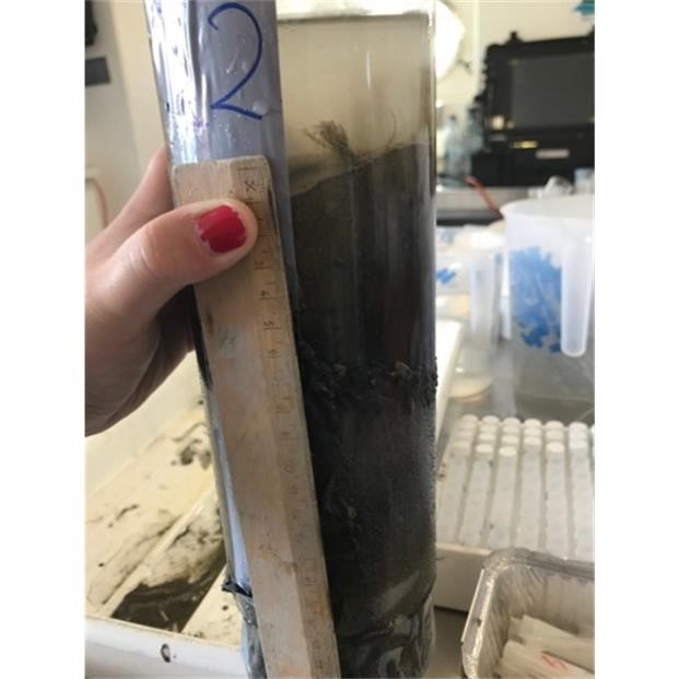 Measuring the height of a sediment core on board the research vessel. – (Photo credit: Bea Vega Garre)
