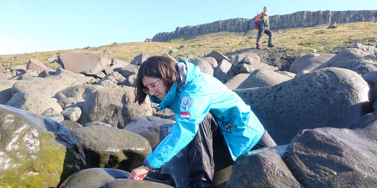 Lauren Wiesebron searching seaweeds at Edgeøya, a small island of the Spitsbergen archipelago. Photo: Rob Buiter