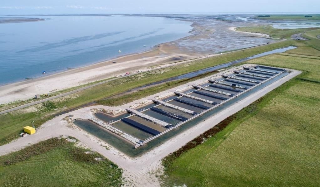 Aerial photo of Polder Wassenaar (© Stichting Zilte Zones).