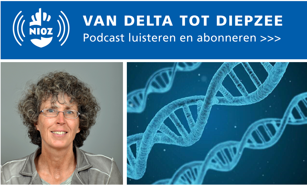 Podcast 5 De zee als oermoeder met microbiologe Judith van Bleijswijk