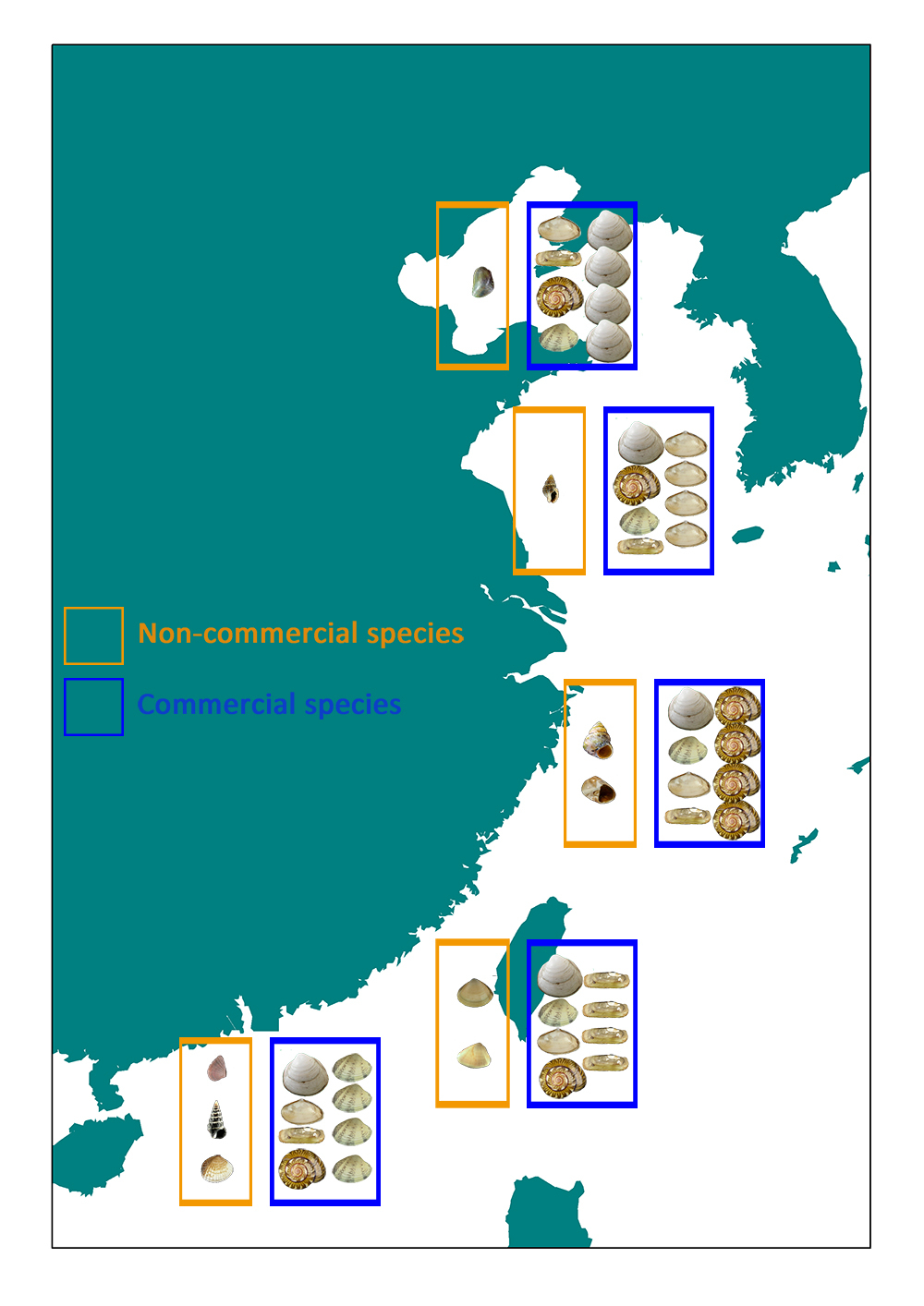 Graphical abstract by He-Bo Peng