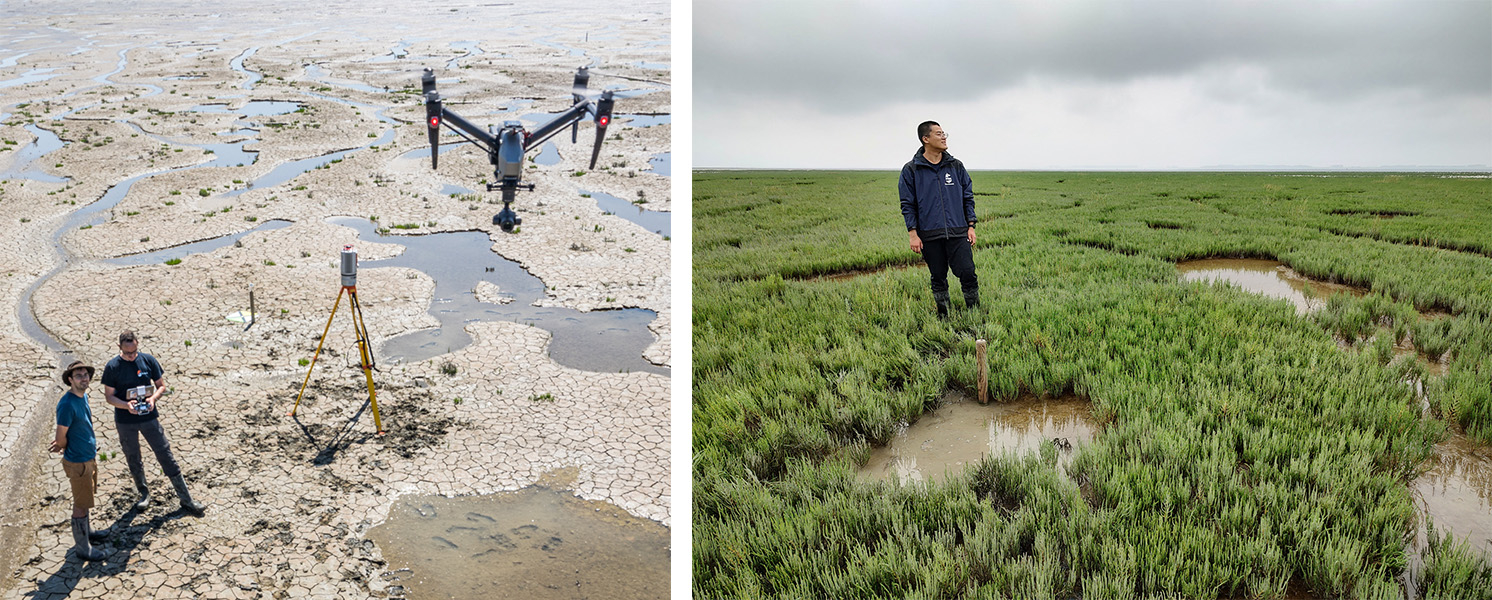 The expanding marsh zone on Zuidgors, Western Scheldt. Photos of the same location of 2021 and 2022 by Greg Fivash, NIOZ.