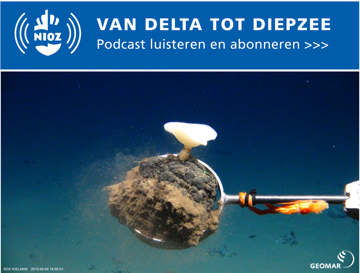 NIOZ-podcast 10 'De diepzee als mijn' met marien geoloog Gert-Jan Reichart. Foto: Expedition SO242. ROV KIEL6000, GEOMAR