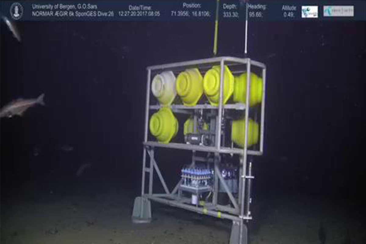 Lander near the sponge reef. Photo: University of Bergen