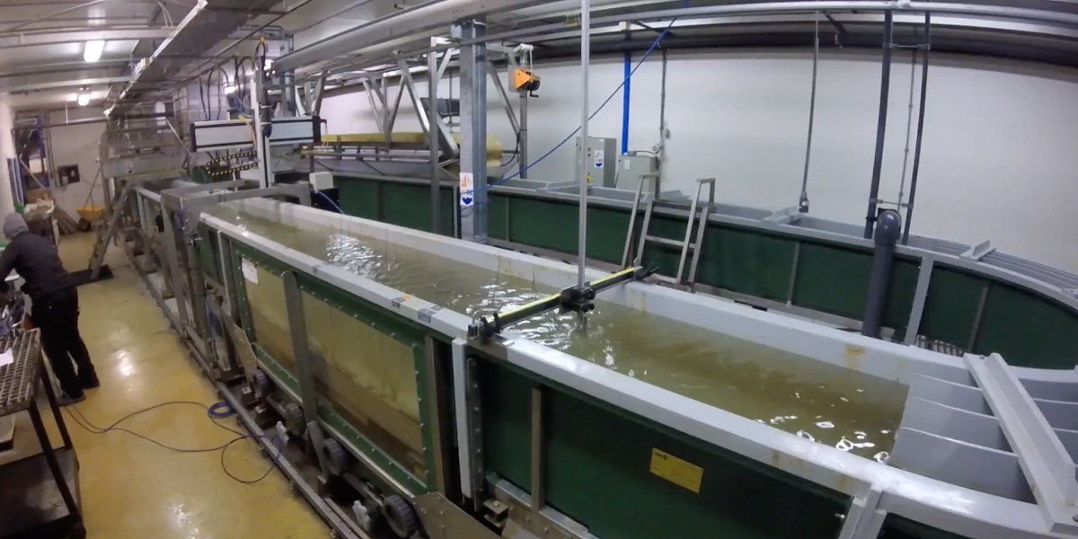 Flume system (Racetrack Flume) for currents and wave. Photo: Screenshot video 'Flume experiment with juvenile willows'.
