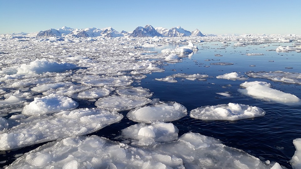 The bay where samples are taken. 