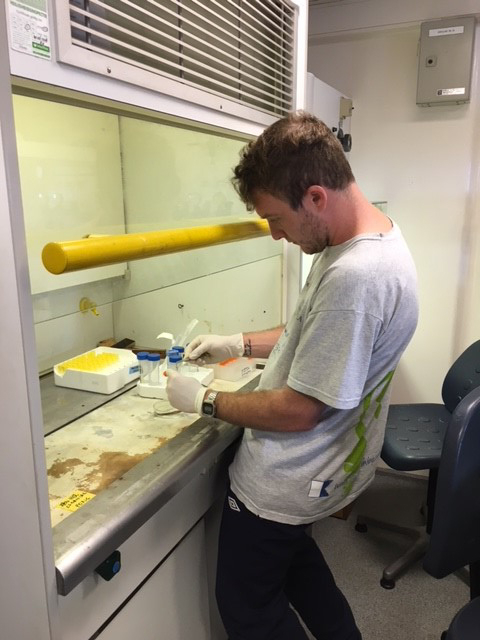 Vincenzo Donnarumma hard at work preserving microplastics on board the RV Pelagia.