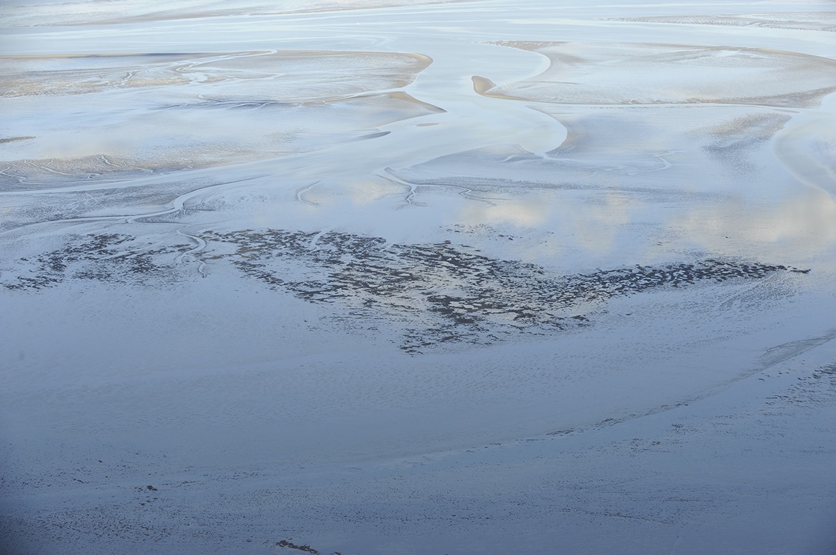 Het herstel van de mosselbanken in de Waddenzee ging minder snel dan gehoopt. Foto: Jasper Donker.