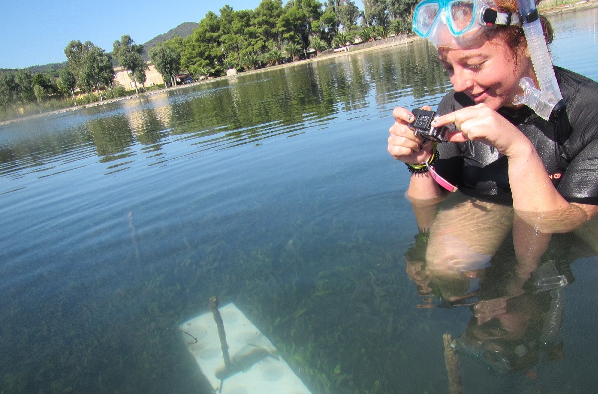 Recovering incubated samples on Elba