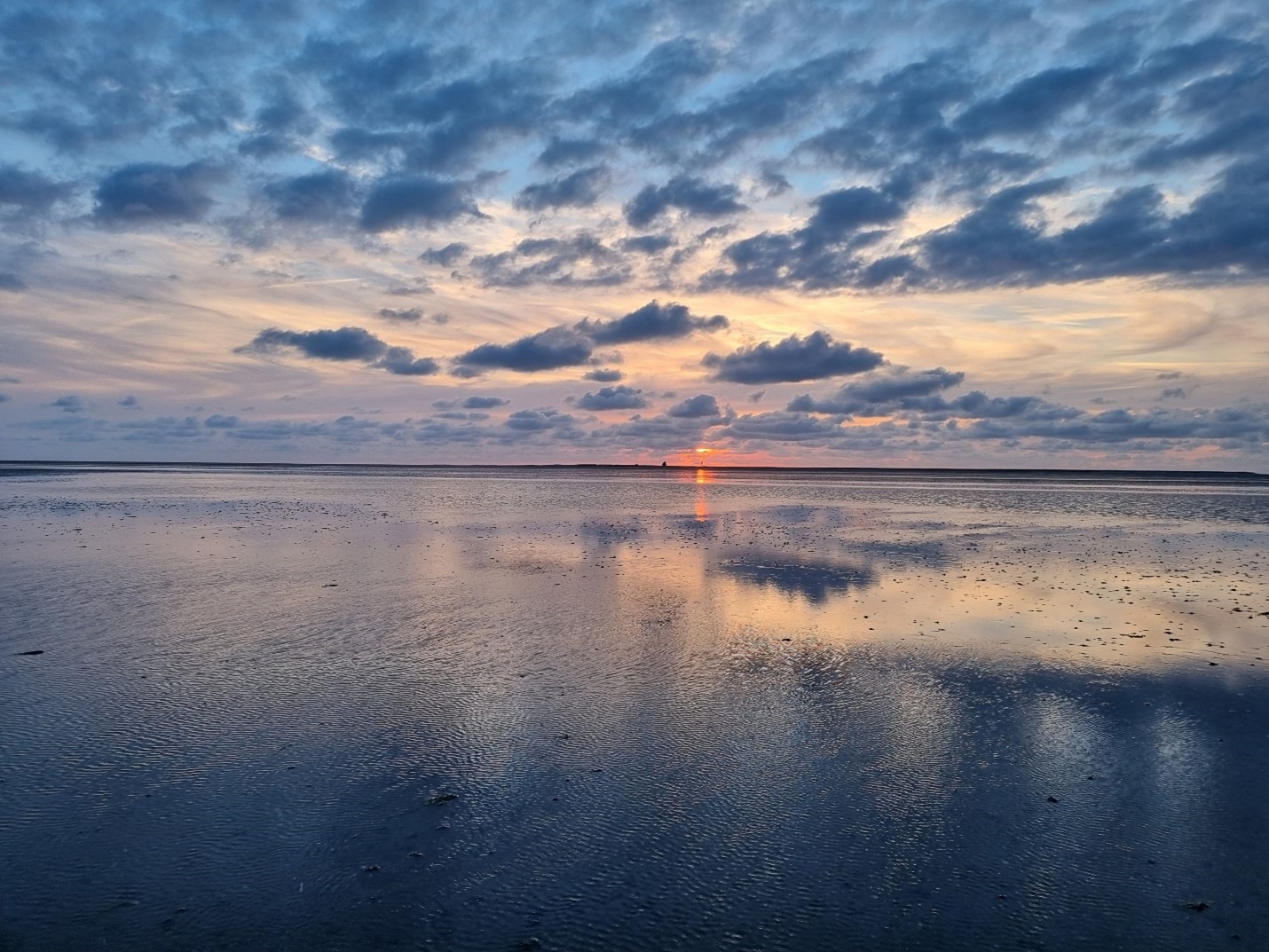 Zonsondergang op het wad © Evy Gobbens 