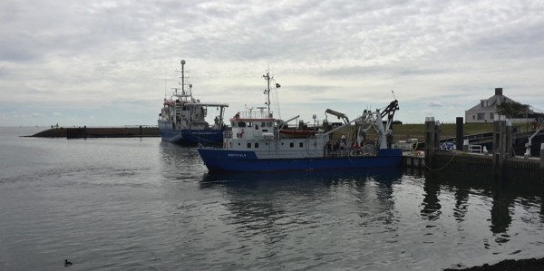 The RV Pelagia and her little sister RV Navicula. 