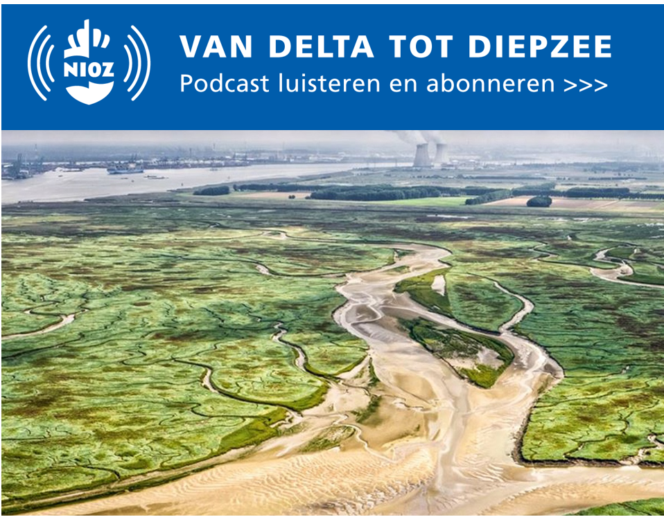 NIOZ podcast #12: De zee als bondgenoot bij kustbescherming. Met Tjeerd Bouma. Foto 'Saeftinghe'van Edwin Paree.