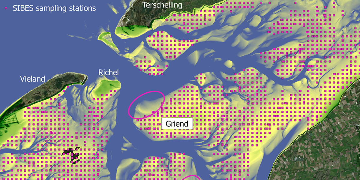 SIBES uses a gridded sampling design that encompasses the entire Dutch Wadden Sea, with a combination of sample points taken at 500m intervals, and additional random sample points
