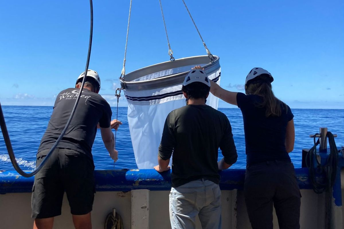 Hauling out the ring net at the first sampling station. Photo: Matthew Humphreys