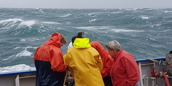 Collecting samples before the waves picked up