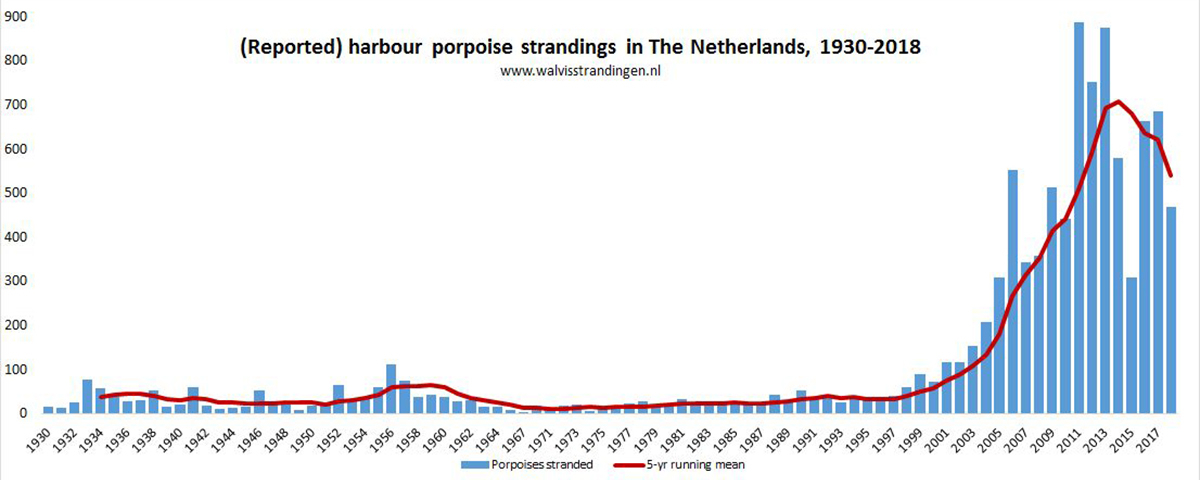 Long-term trend in Harbour Porpoise strandings in The Netherlands (1930-2018). Note that not all strandings were reported prior to the late 1950s, when the animal was still abundant in Dutch waters. 
