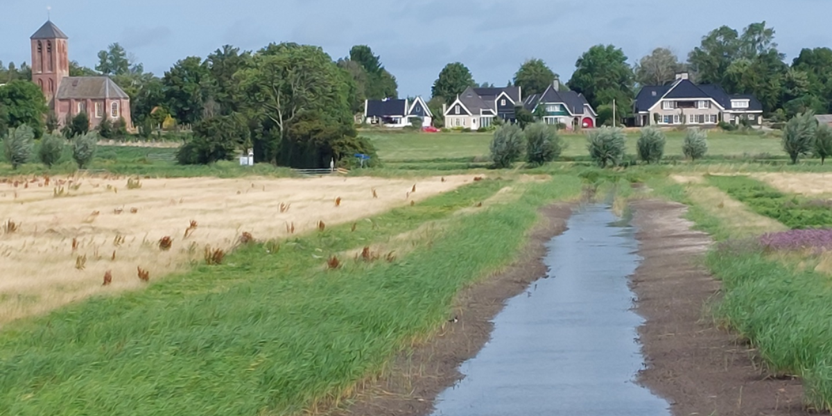 Het leefgebied van Nathan, de Westerlanderkoog een particulier nat natuurgebied