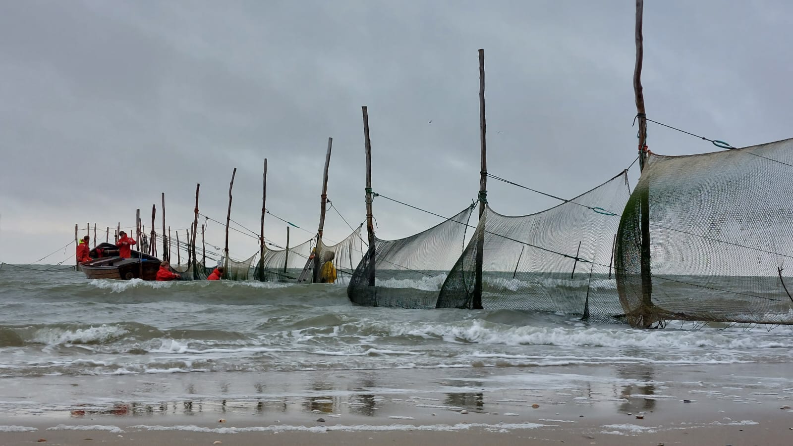 NIOZ fish fyke at Wadden Sea inlet Texel has been monitoring fish socks since 1959. Picture by Robert Twijnstra