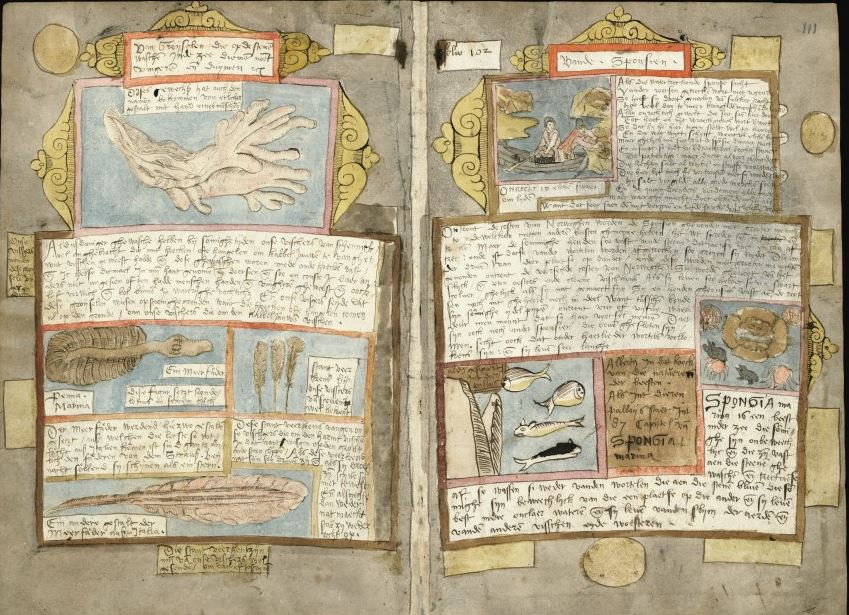 All information is illustrated by colourful drawings. Koniklijke Bibliotheek