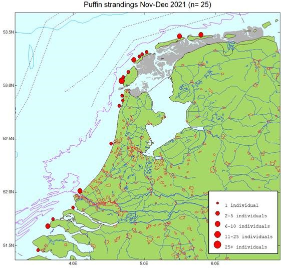 Pattern strandings, 8 December 2021