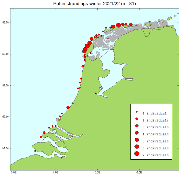 Pattern strandings, 7 February 2021