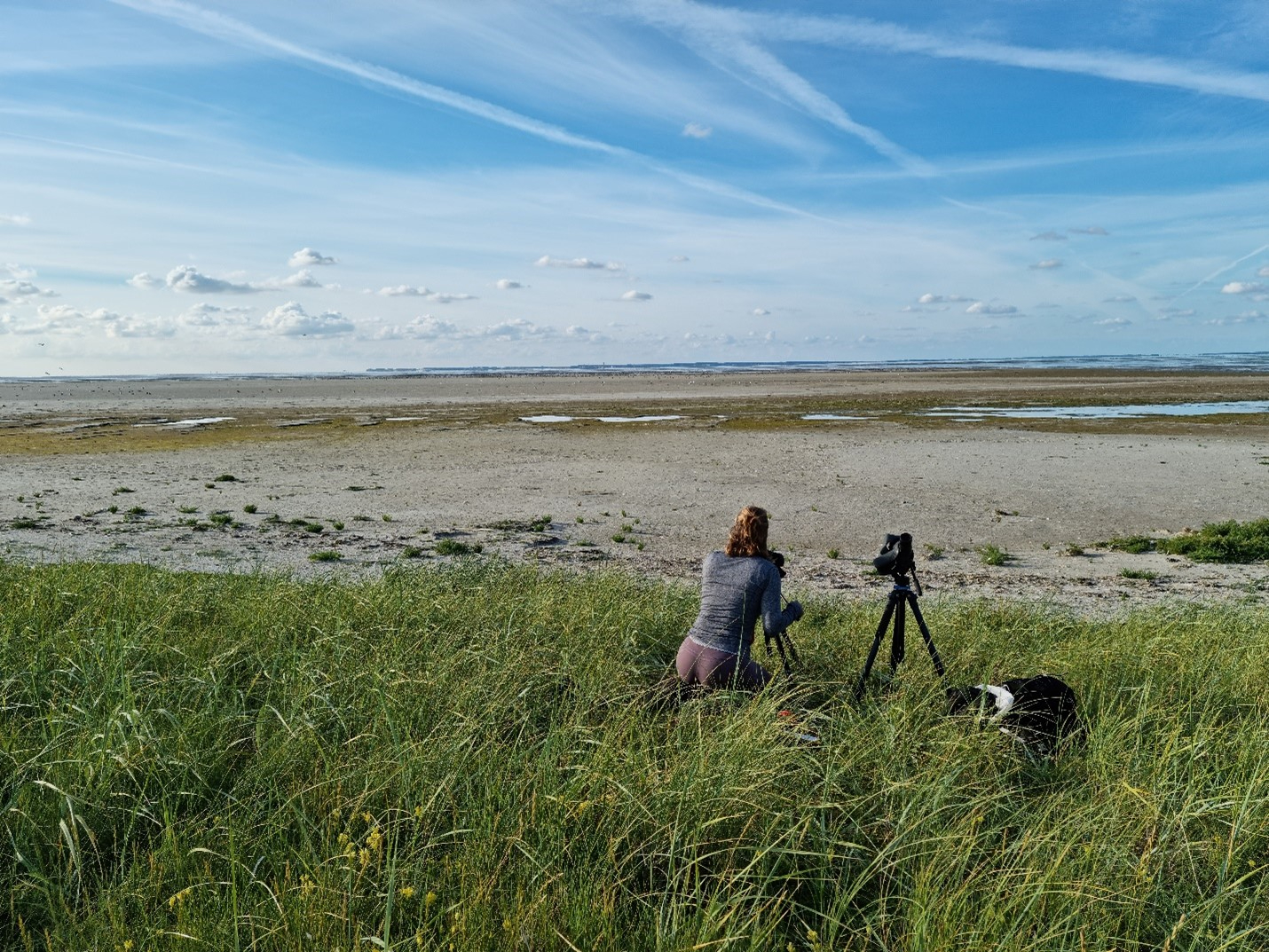 Hoogwater observaties (Foto: Evy Gobbens) 