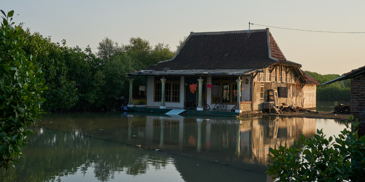 A house in a coastal village during a high tide. The pavement and driveway to the house are flooded. The house remains dry because the residents have raised the ground floor by several tens of centimetres over the past few years. Credits: Silke Tas.