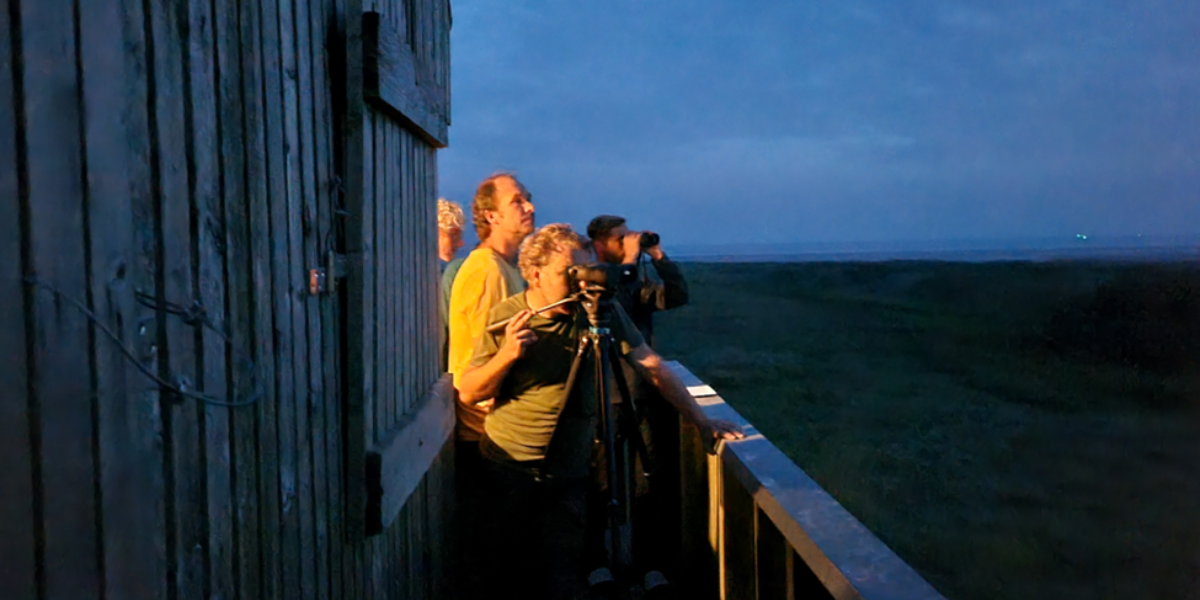 Een spannende nacht: Job ten Horn, Allert Bijleveld, Tim Oortwijn en Kornelis Dekinga kijken met een nachtkijker vanaf het balkon of er al wulpen te zien zijn (foto: Evy Gobbens)