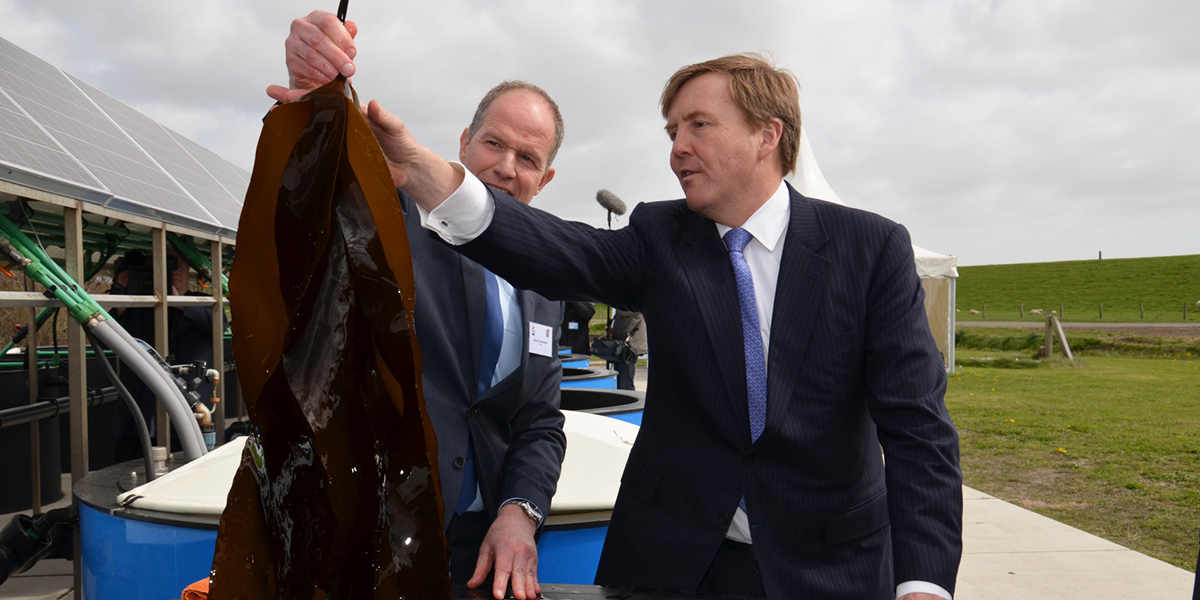 The opening of the Seaweed Research Centre by King Willem Alexander in 2017.