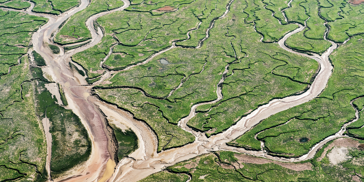 Verdronken land van Saefthinge. Credits: Edwin Paree